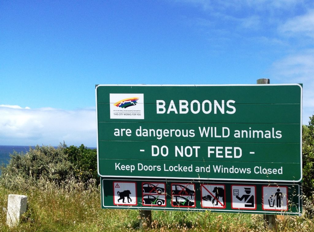 Rótulo sobre los Baboons